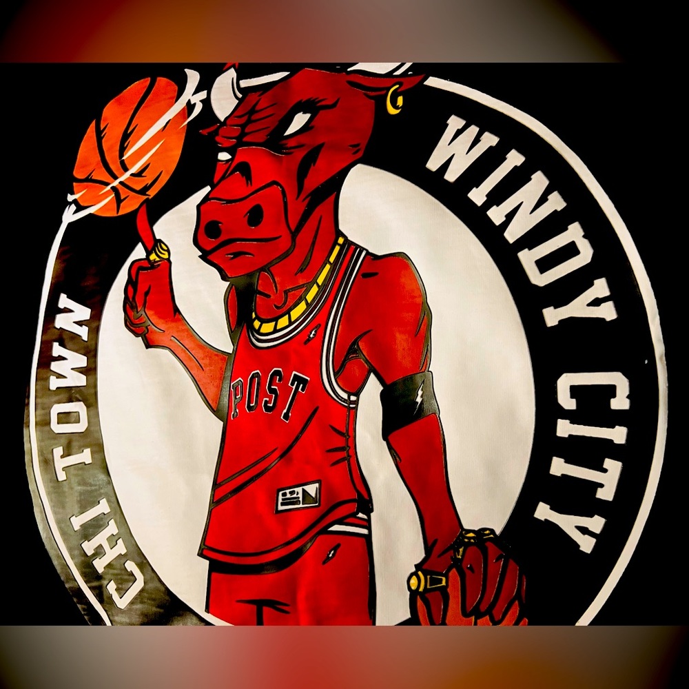 Post Game Shirt (2016) Rare/Limited